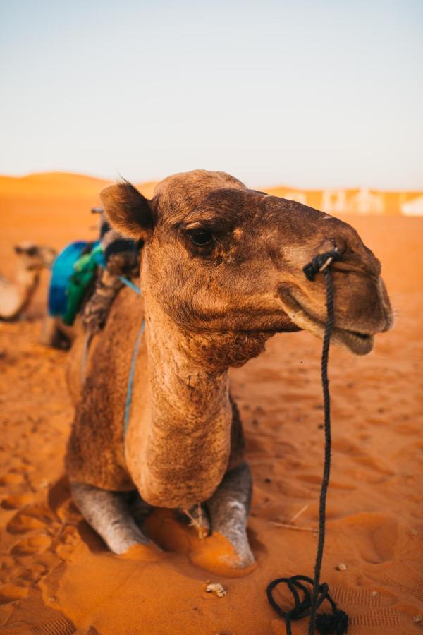 Sanmao Desert Luxury Camp メルズーガ エクステリア 写真